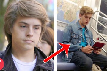 10 Celebs Who Gave up Fame to Work Normal Jobs