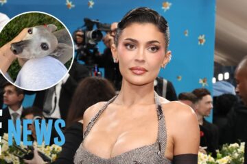 Kylie Jenner Mourns Death of Dog Norman